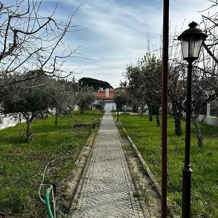 Casa D'avo Bia * Tábua