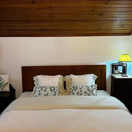Casa D'avo Bia Casa vacanze Tábua