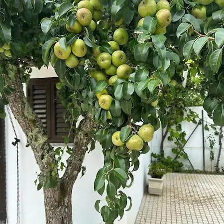 Casa D'avo Bia * Tábua
